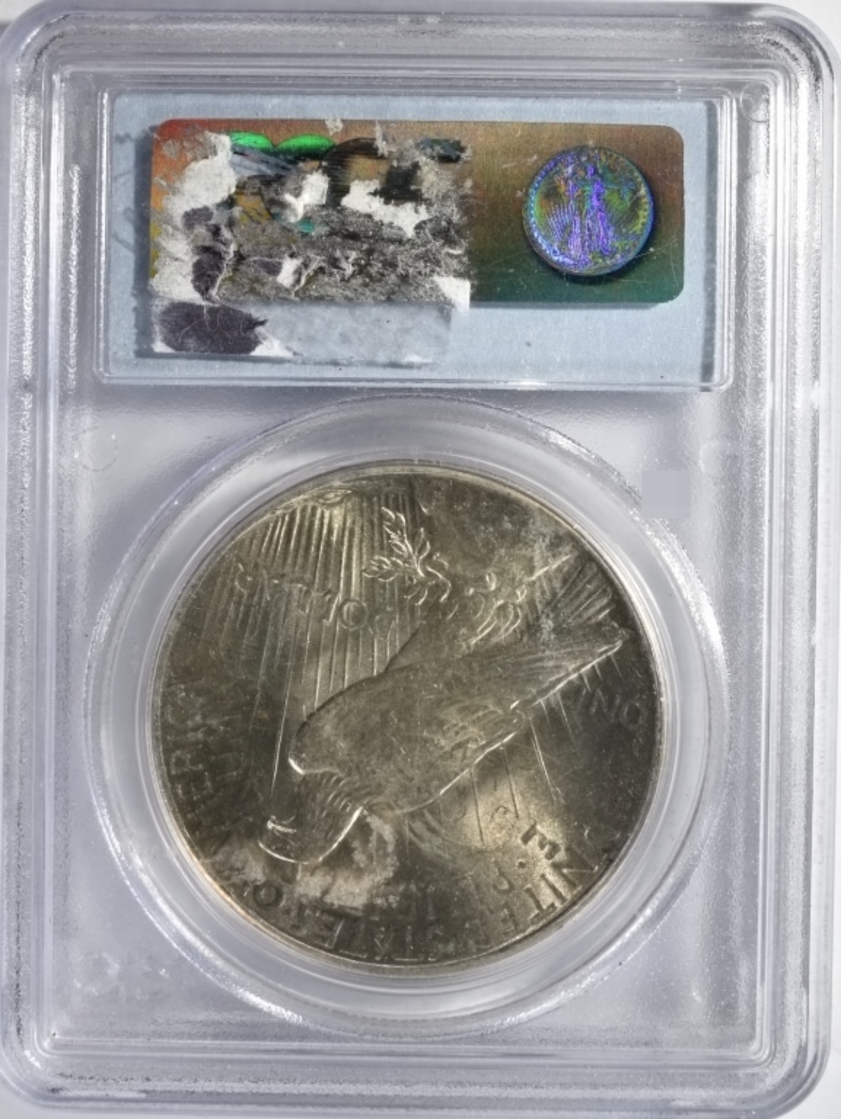 1925 Peace Dollar MS63 PCGS