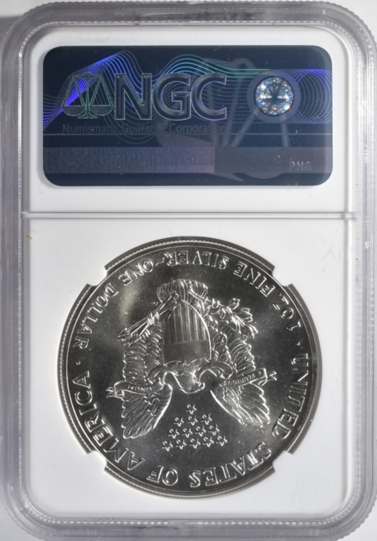 1989 Silver Eagle MS69 NGC Chipped Slab