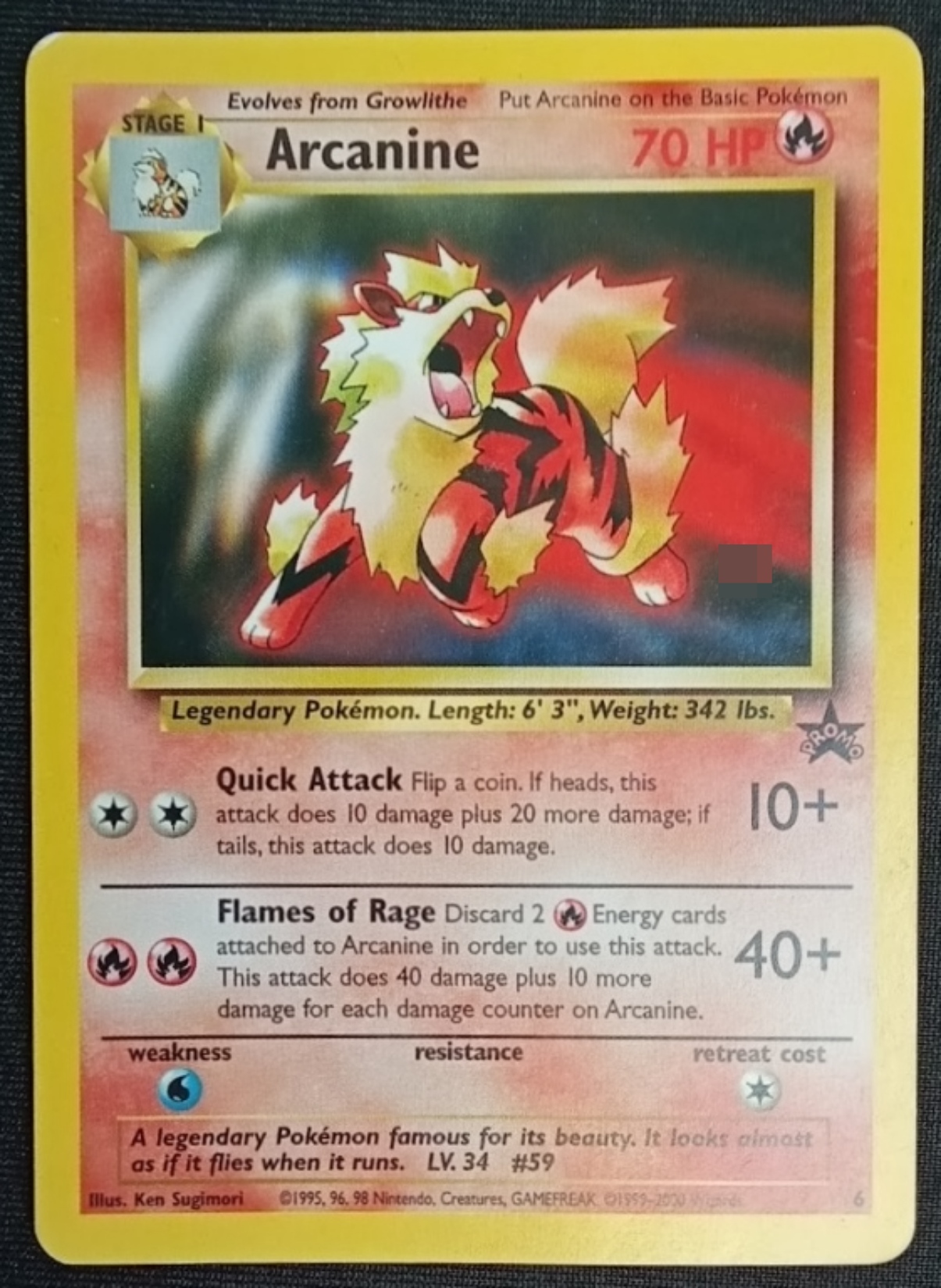 Arcanine Black Star Promo #6