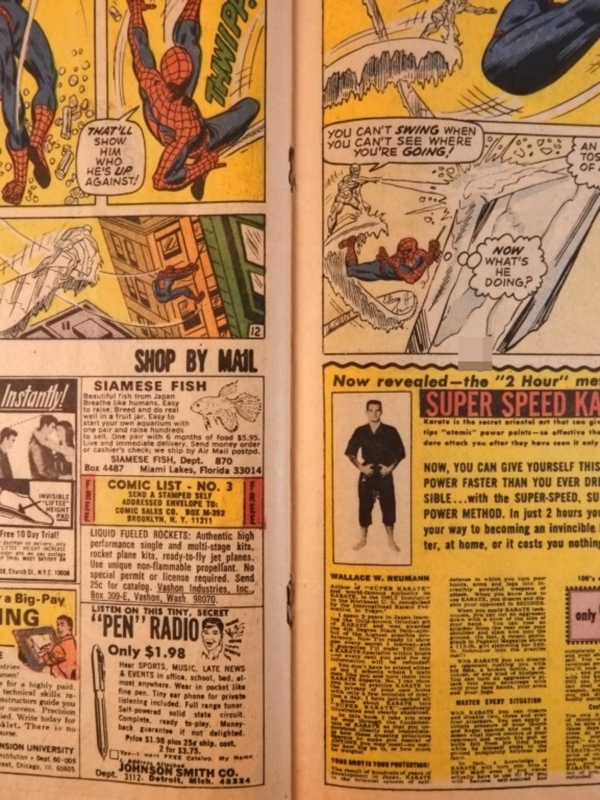 (2) Amazing Spider-Man #92 & #95 Marvel 1971