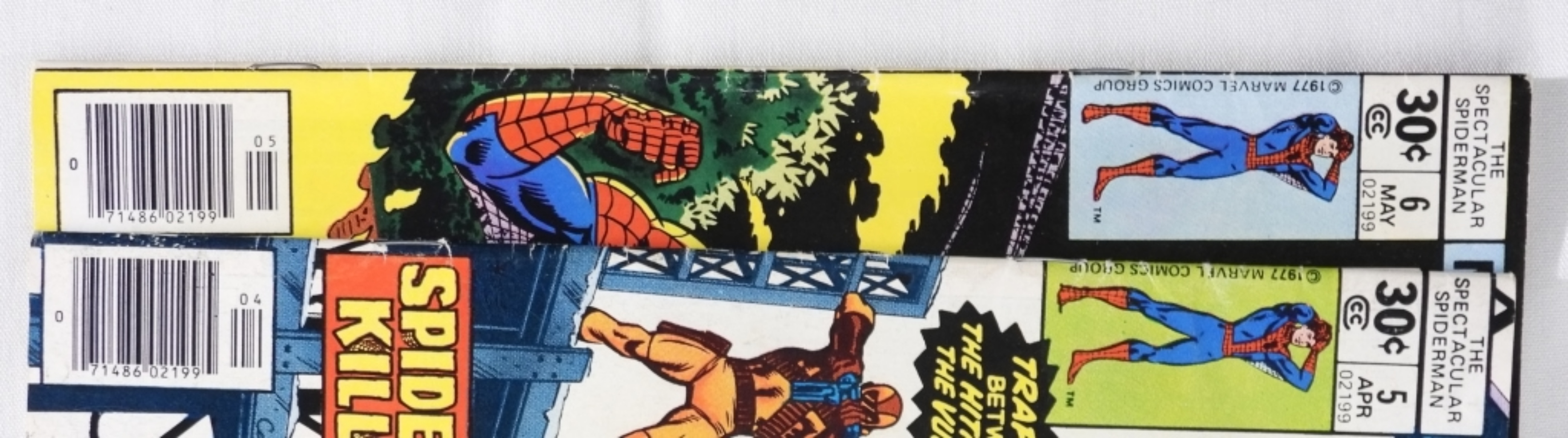 (2) Peter Parker The Spectacular Spider-Man
