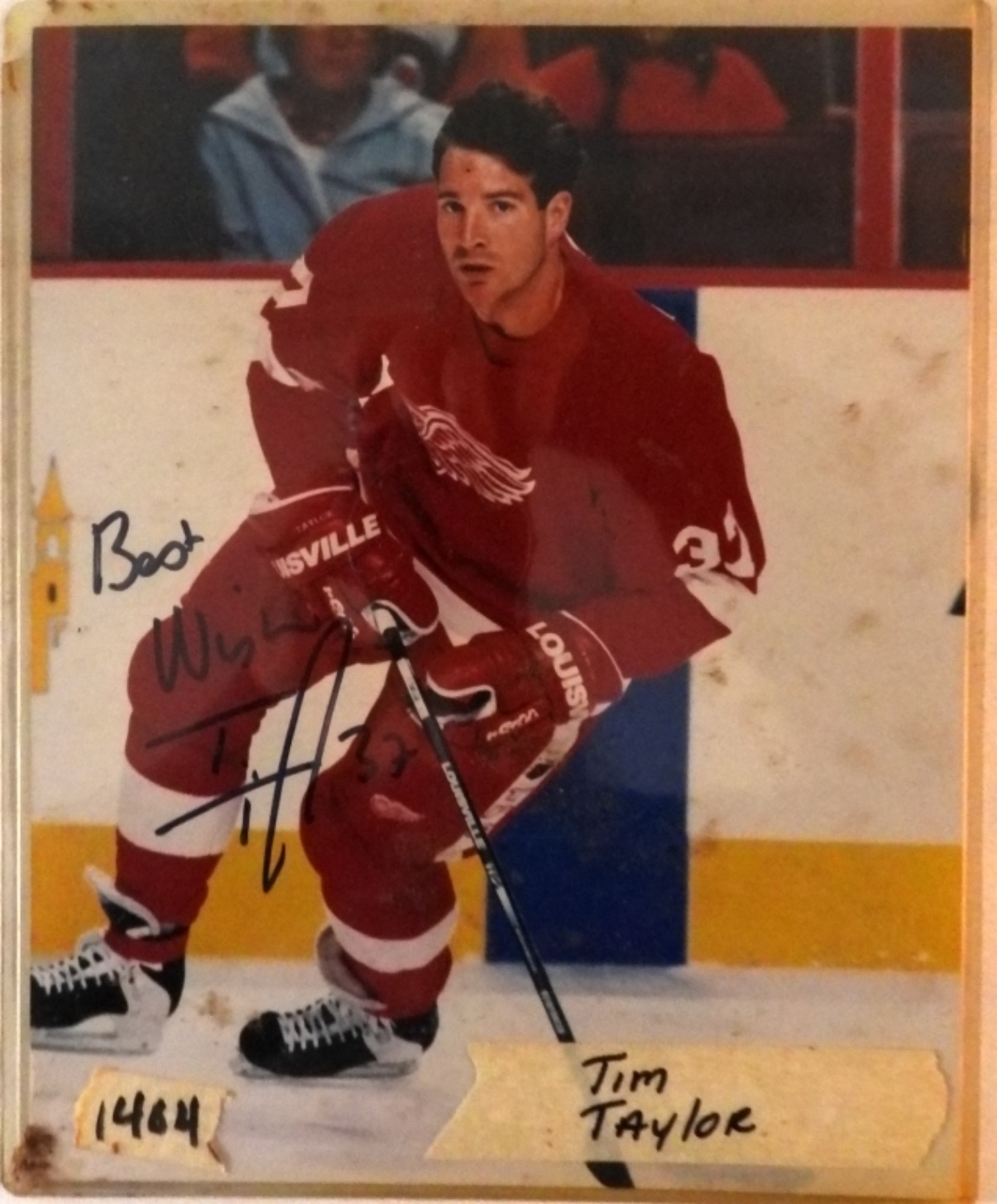 Tim Taylor Autographed Hockey 8x10