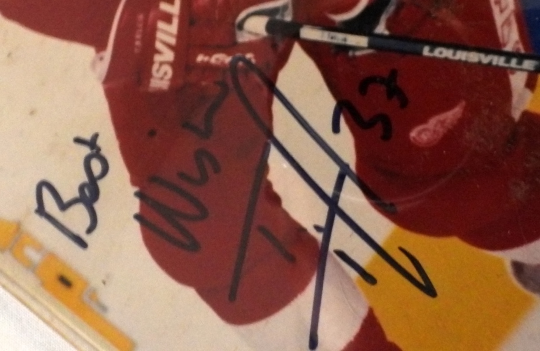 Tim Taylor Autographed Hockey 8x10