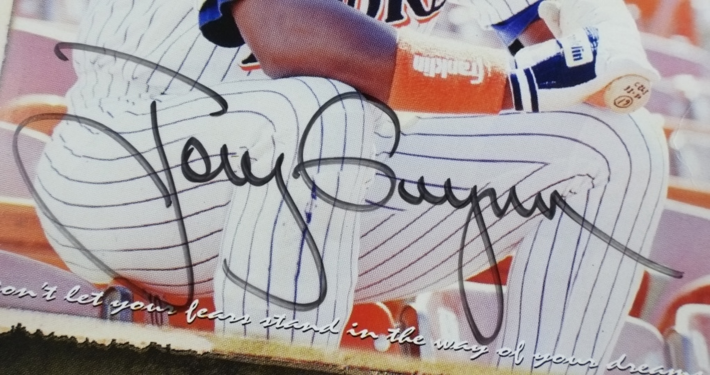 Tony Gwynn Signed Photo