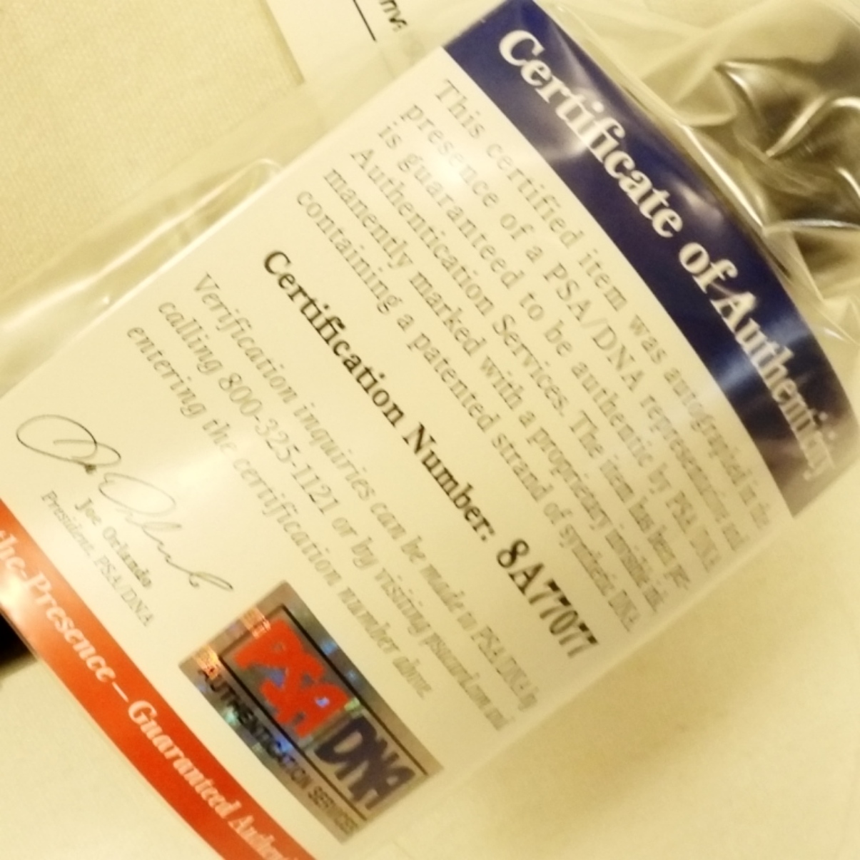 Jim Thome Autographed Baseball Bat PSA/DNA