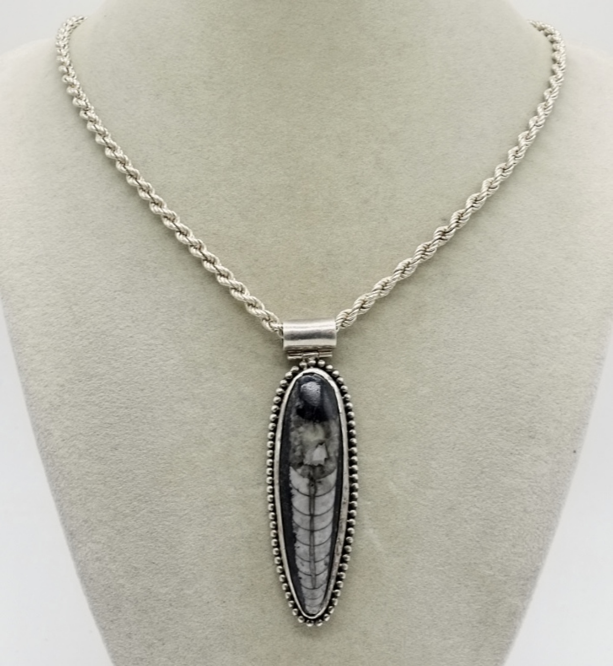 Sterling Orthoceras Fossil Pendant Necklace