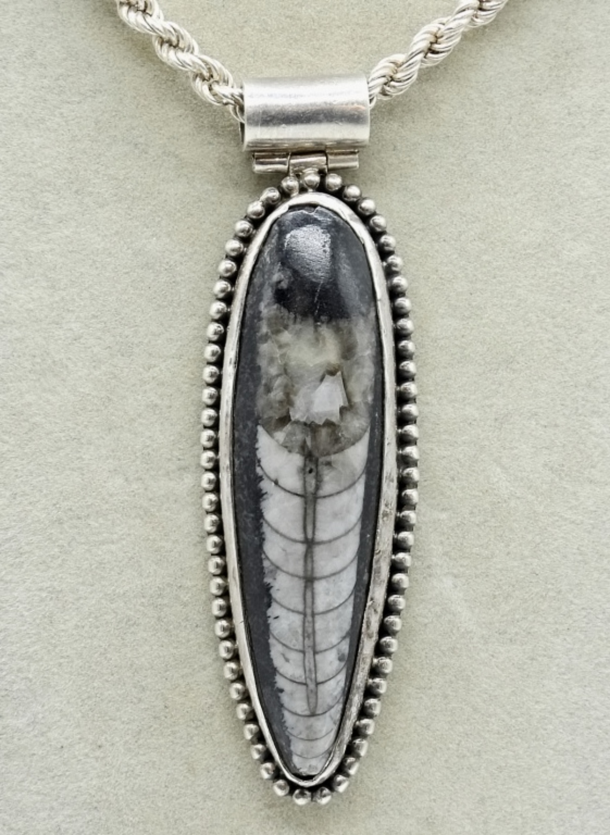 Sterling Orthoceras Fossil Pendant Necklace