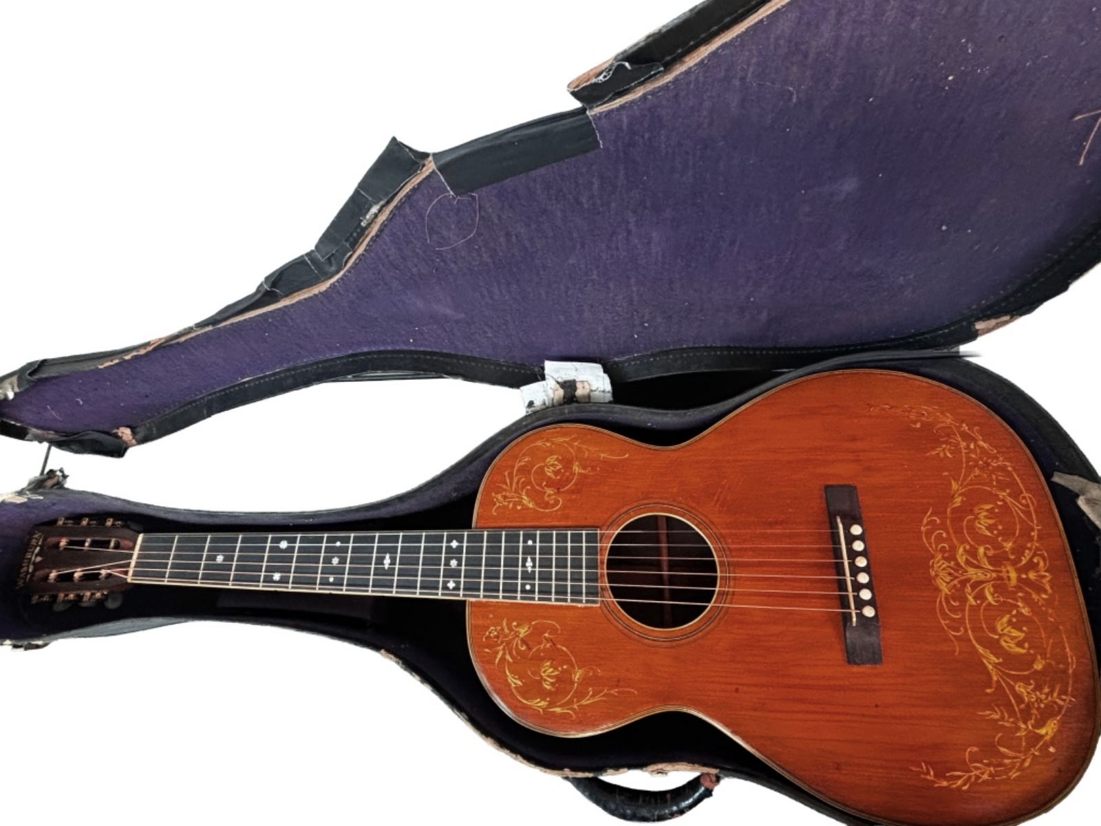 Washburn Parlor Guitar- Brazilian Rosewood Back