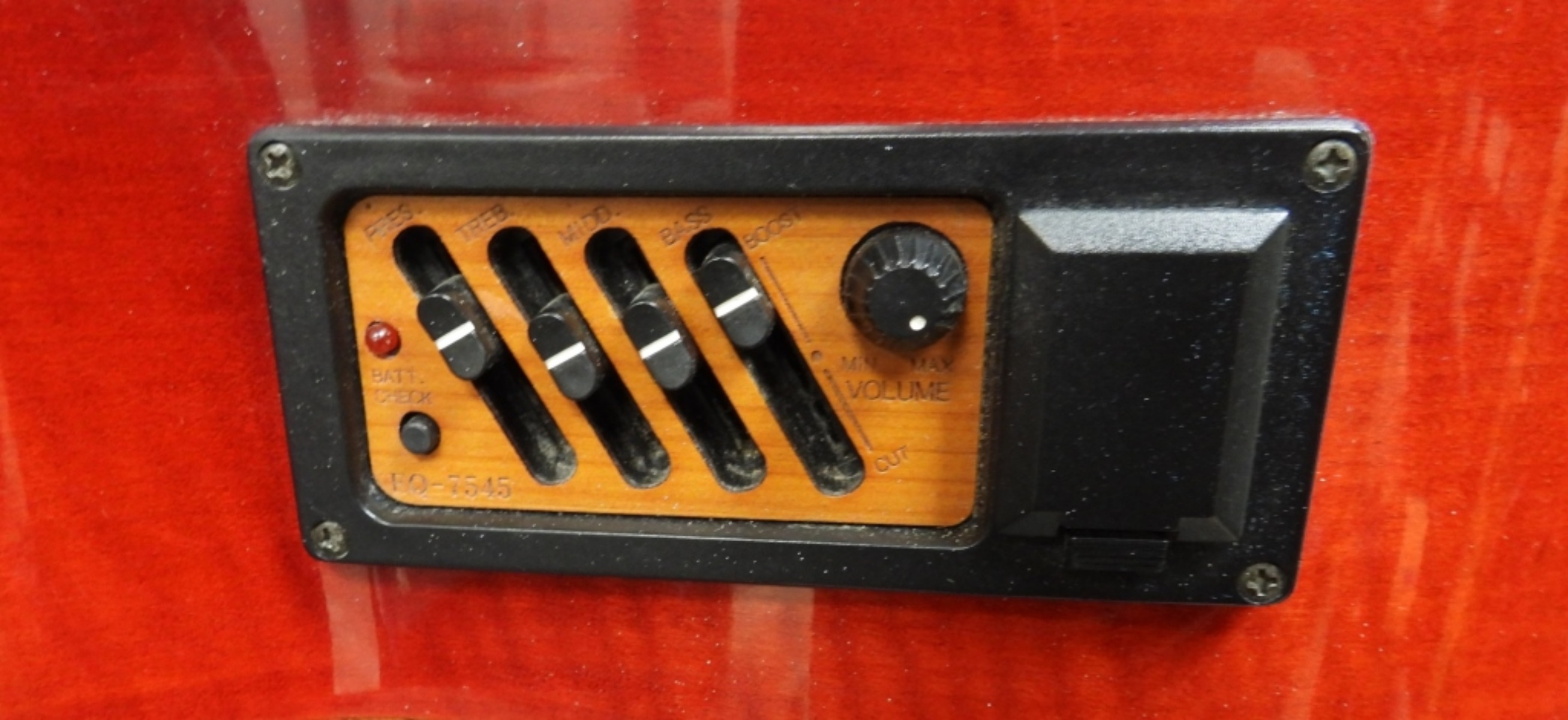 Carlo Robellol Acoustic Electric Guitar