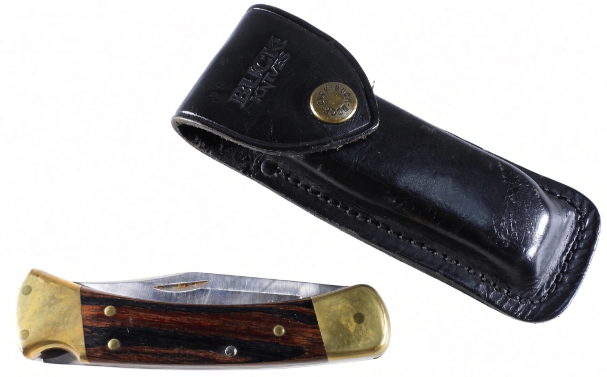Buck 110 Folding Hunter Knife & Sheath