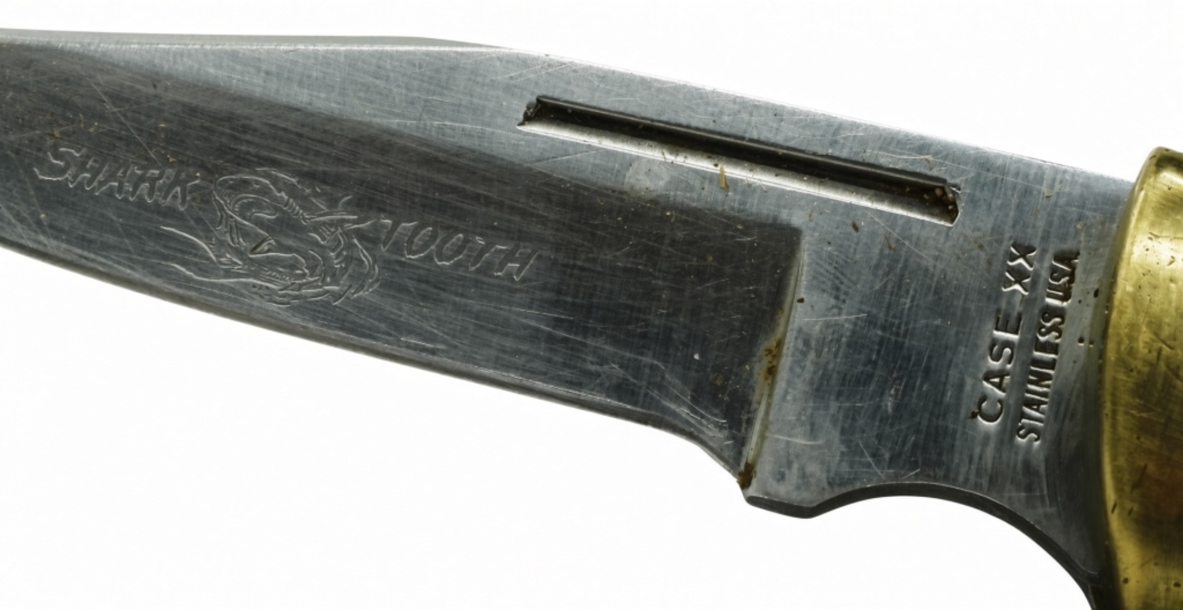 Case XX Fixed Blade Hunter, Ebony Handle