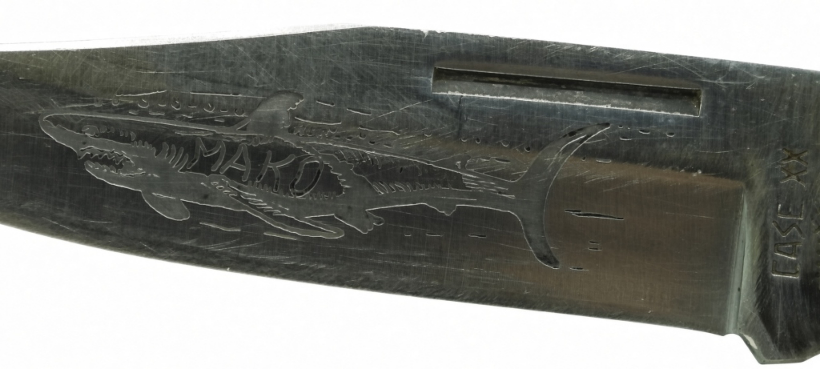 Case XX P158 LSSP Folding Knife, Etched Mako Shark