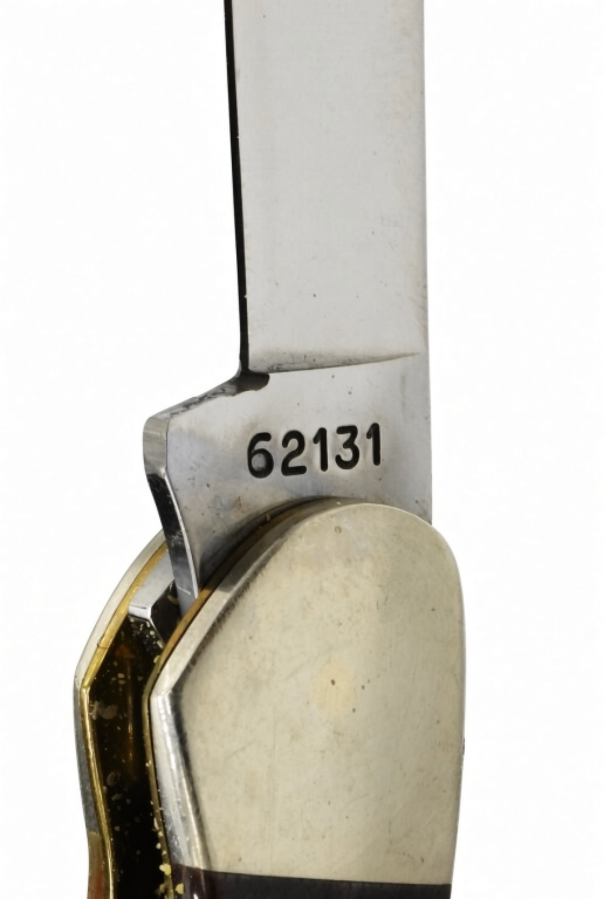 Case XX Folding Knife, Stag Handle