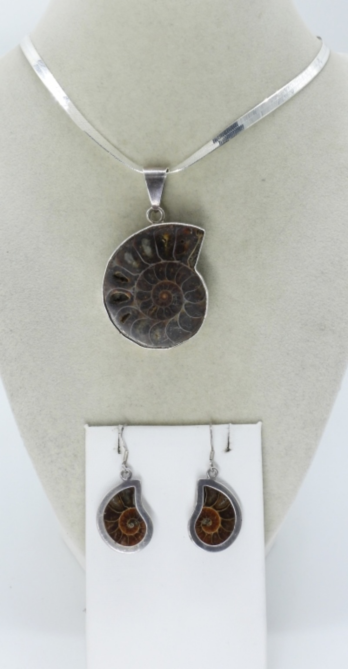 Ammonite Fossil 925 Necklace & Earrings