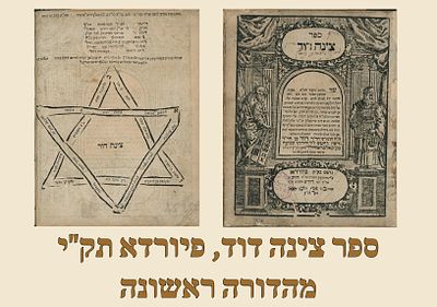 Tzinah David by Rabbi David Deutch, Furth, 1750. 
Elucidations on the halachahs of nikkur in 