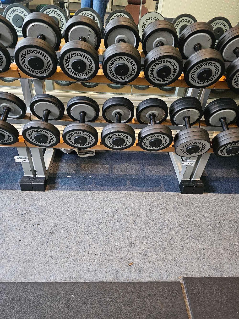 Lot 792: * Technogym fixed-weight dumbbells and a Technogym two-tier Lofthal dumbbell rack ranges 14