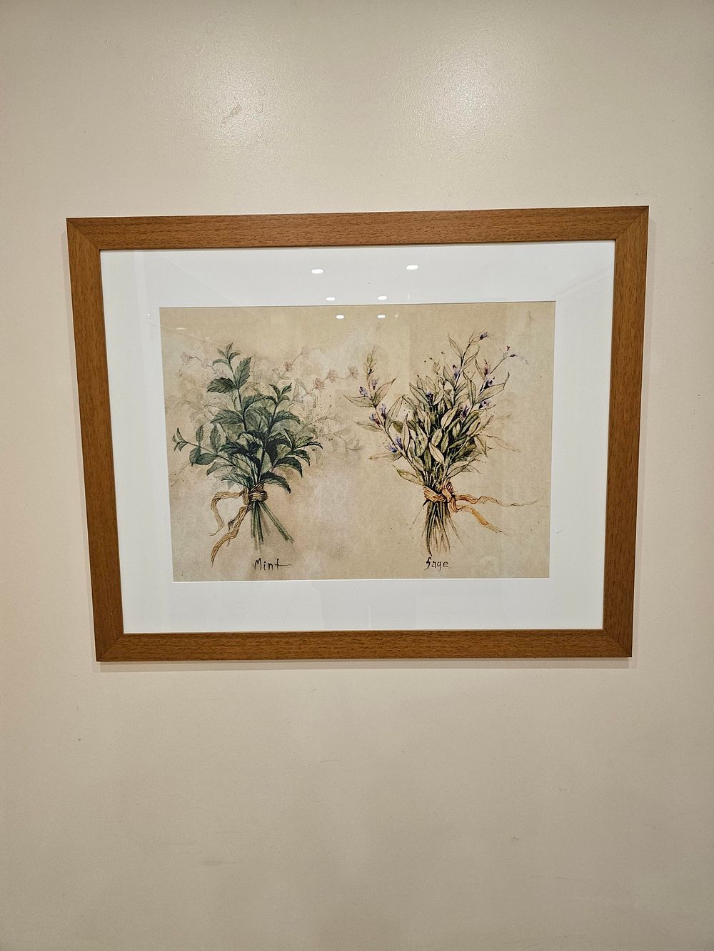Lot 902: * 3 x framed botanical prints