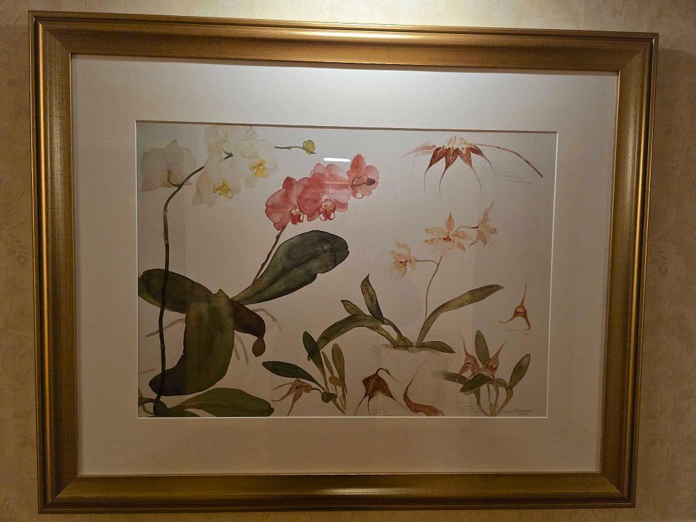 Lot 2227: * A framed botanical print after a watercolor by Scottish artist Elizabeth