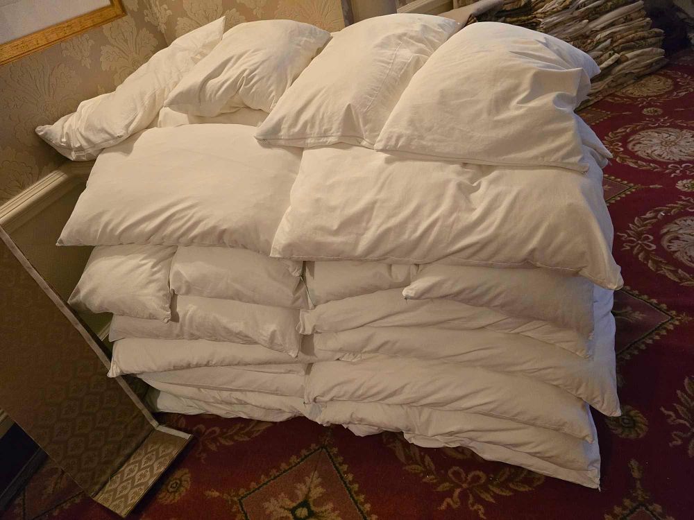 Lot 4034: * Hotel pillow synthetic fill Appx Count of x 55