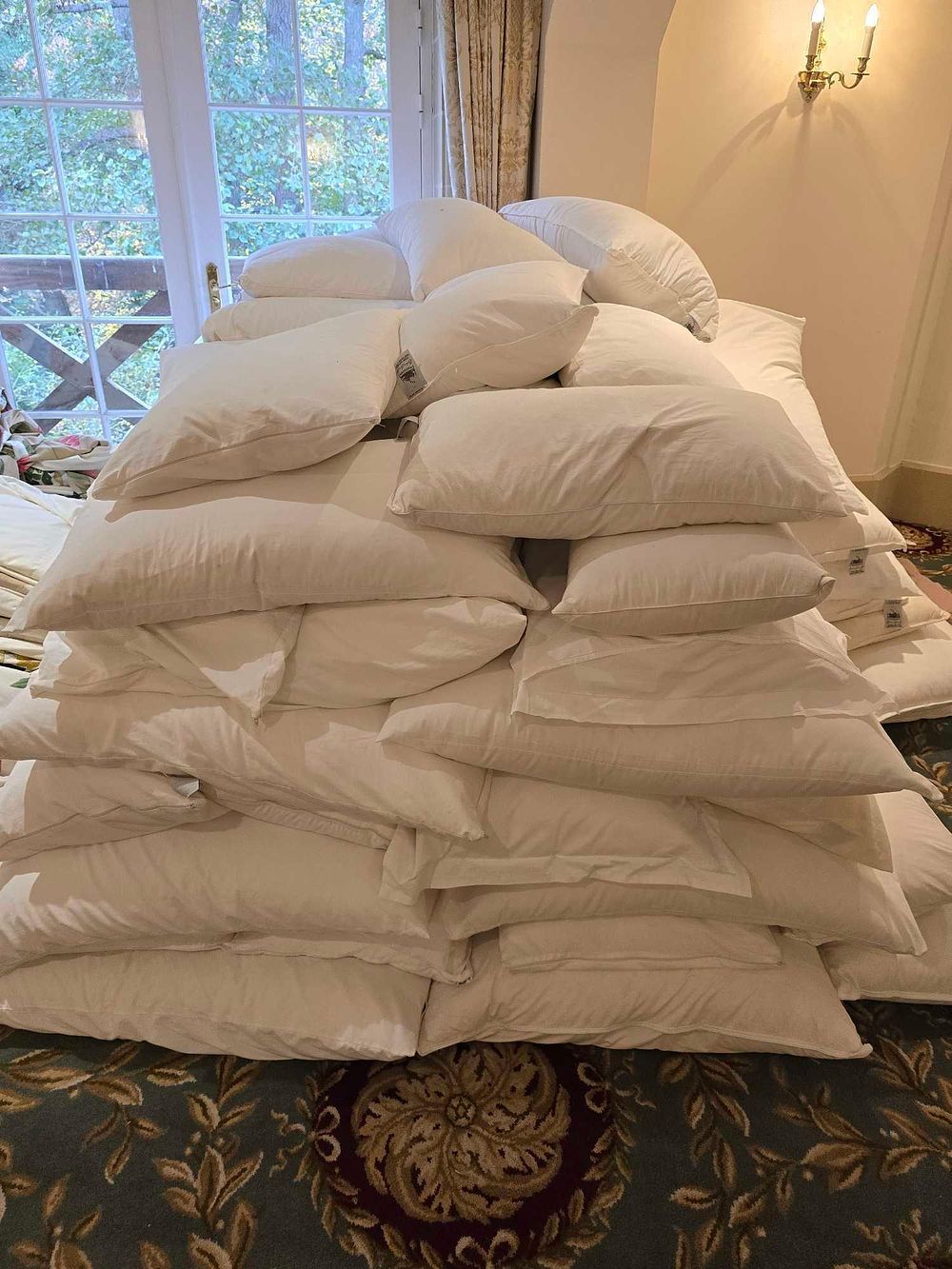 Lot 4211: * Pillow duck fill natural appx x 190 (w/w coben store 11)