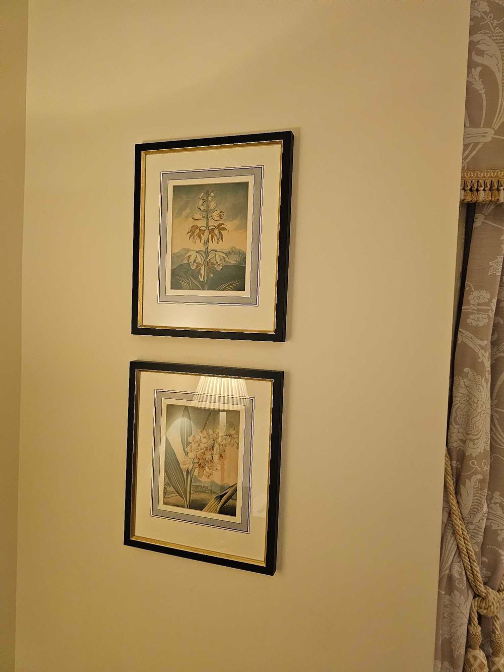 Lot 976: * 2 x framed and glazed botanical study prints 36 x 44cm