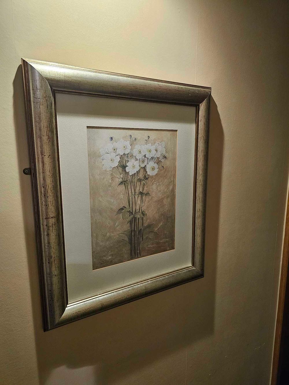 Lot 1079: * A set of 2 x botanical prints glazed and framed 58 x 68cm