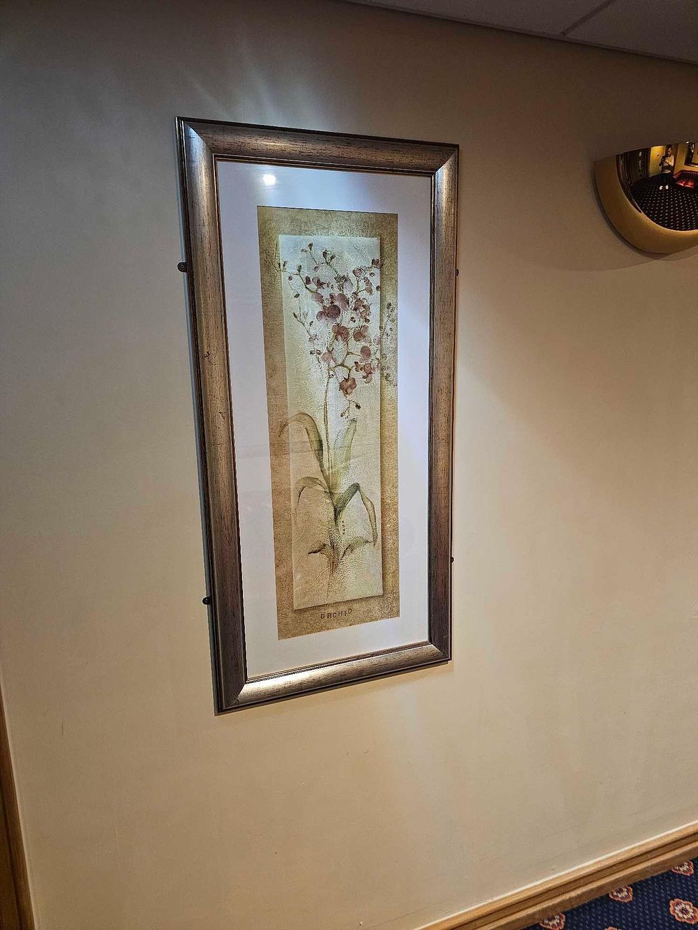 Lot 1082: * A set of 2 x botanical prints glazed and framed 56 x 116cm