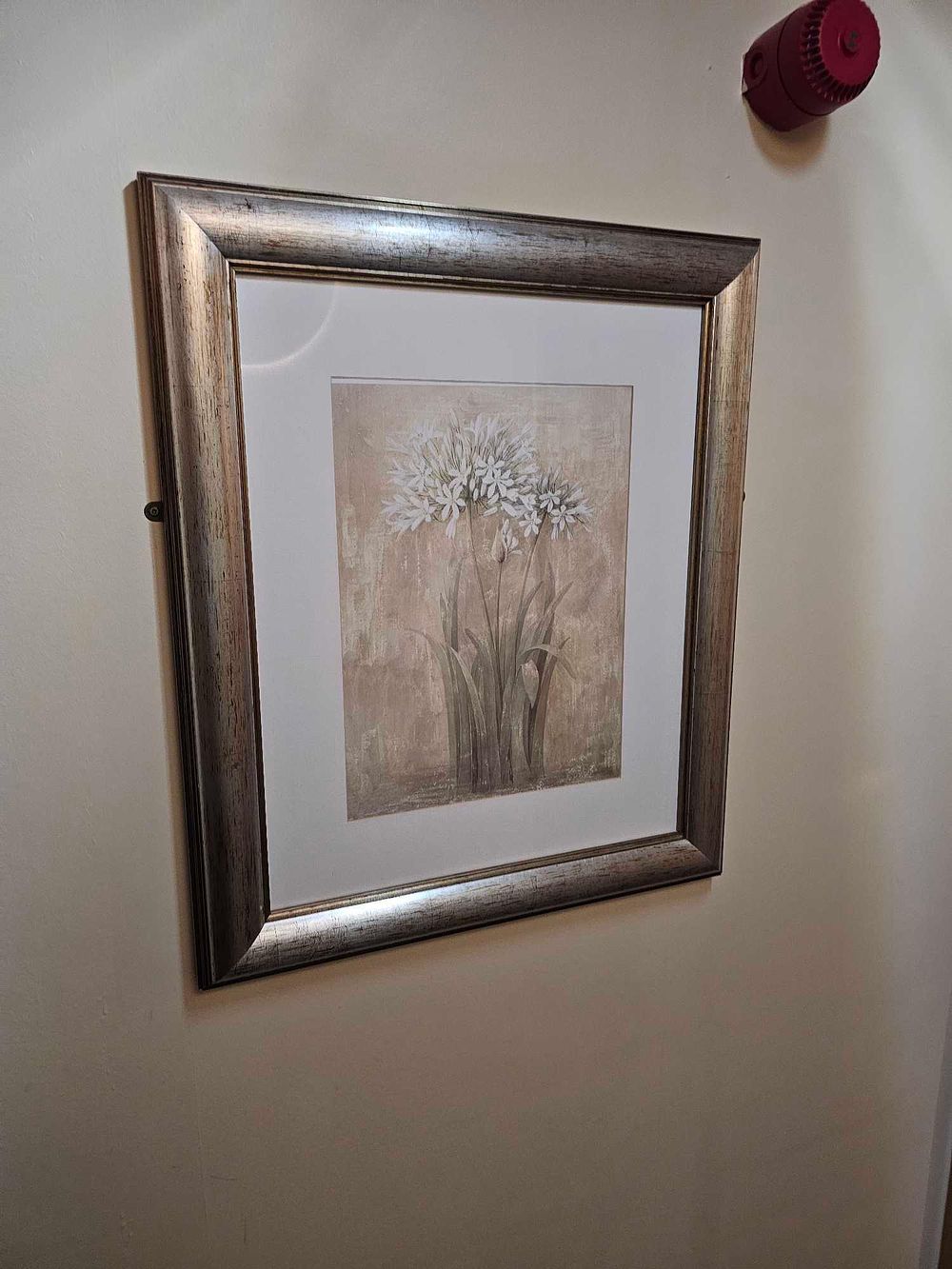 Lot 1087: * A set of 3 x botanical prints glazed and framed 57 x 87cm