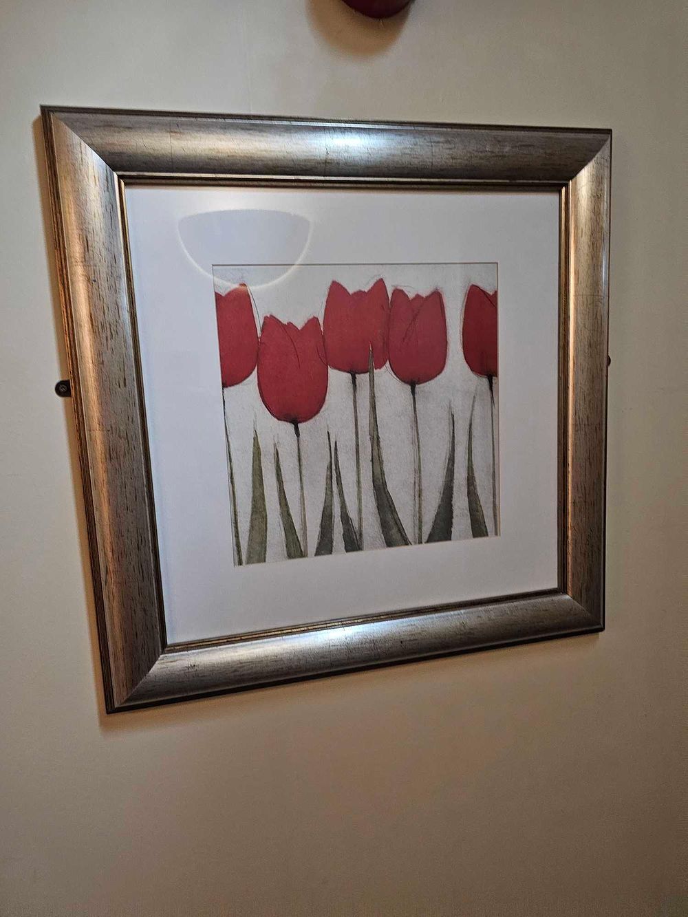 Lot 1095: * A set of 2 x botanical prints glazed and framed 58 x 58cm