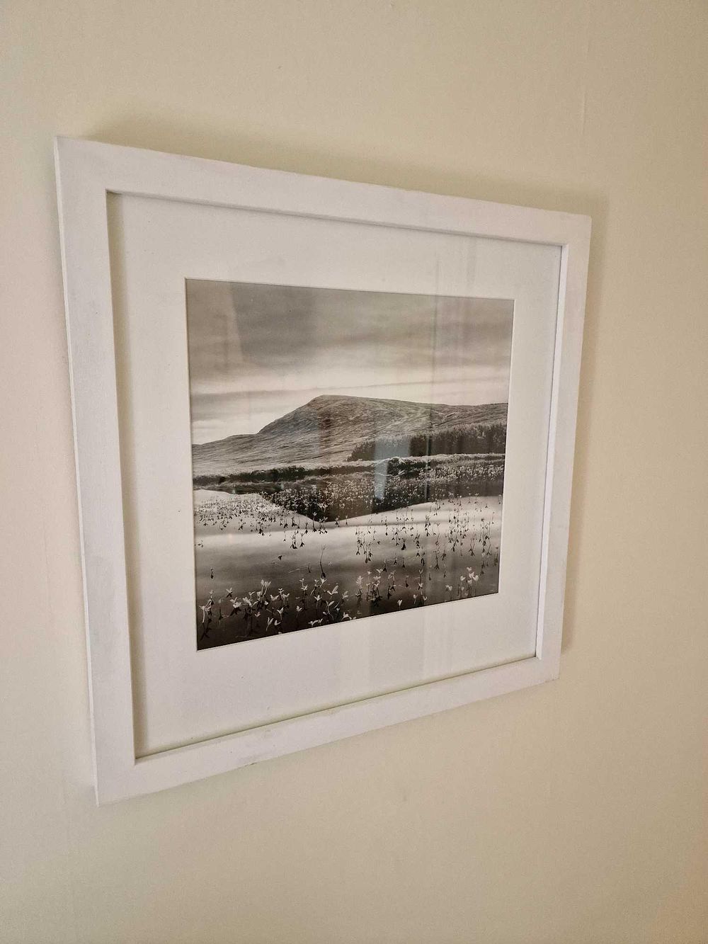 Lot 3075: * Gillian Allard Framed Print Distant Hill And Reflection Signed Verso In