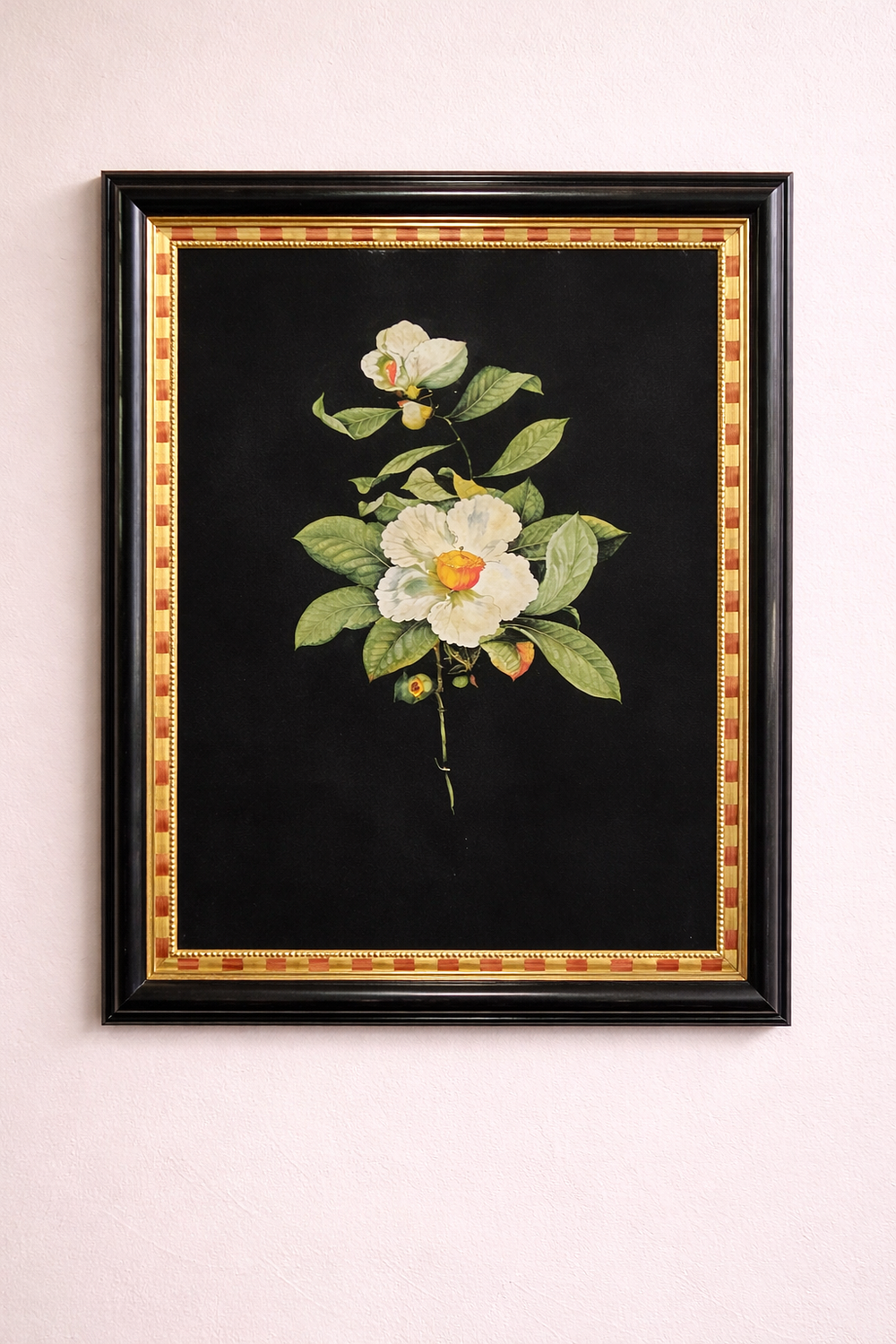 Lot 1306: * Framed print Flowers of Franklinia alatamaha after 1782 painting of a flowering branch of the