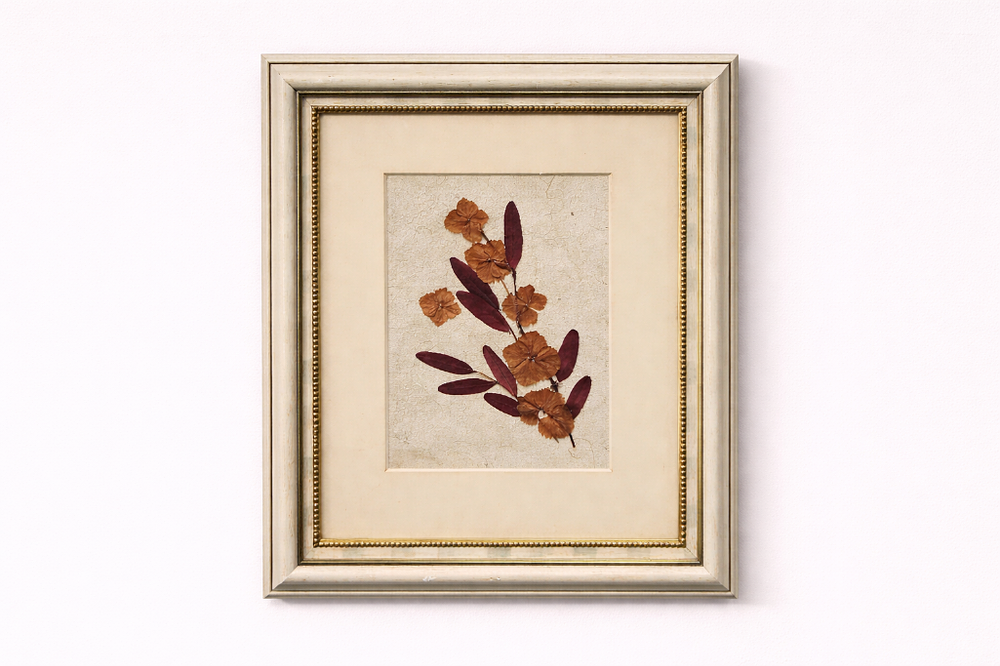 Lot 689: * An Arrangement Of Pressed, Dried Botanical Elements On