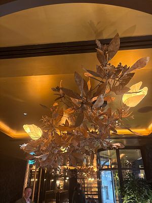 A Magnificent Pair of Custom "Magnolia" Forged Iron Sculptural Chandeliers – Cox London