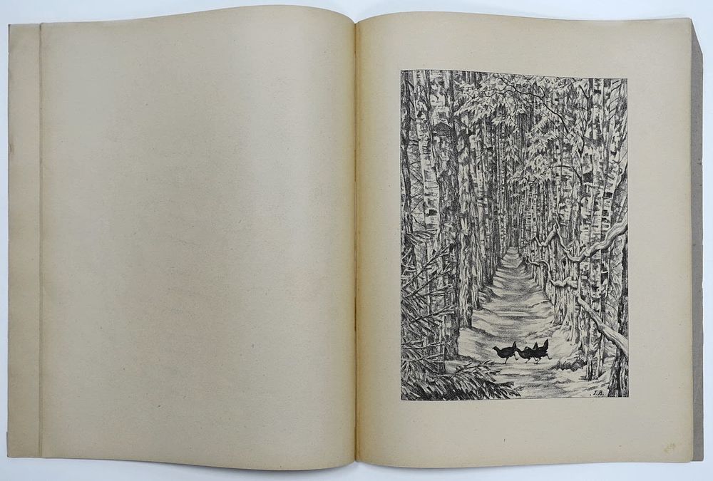 ВЕРЕЙСКИЙ Георгий Семёнович - Альбом &laquo;ДЕРЕВНЯ&raquo; (Рисунки на камне), 1924 г. Текст Ольги Форш. Л.: 
