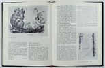 ЯКОБСОН Александра Николаевна - &laquo;Слезы женские – вода...&raquo;, 1966 г. КОЛЛЕКЦИОННАЯ СОХРАННОСТЬ! Изображение - 2
