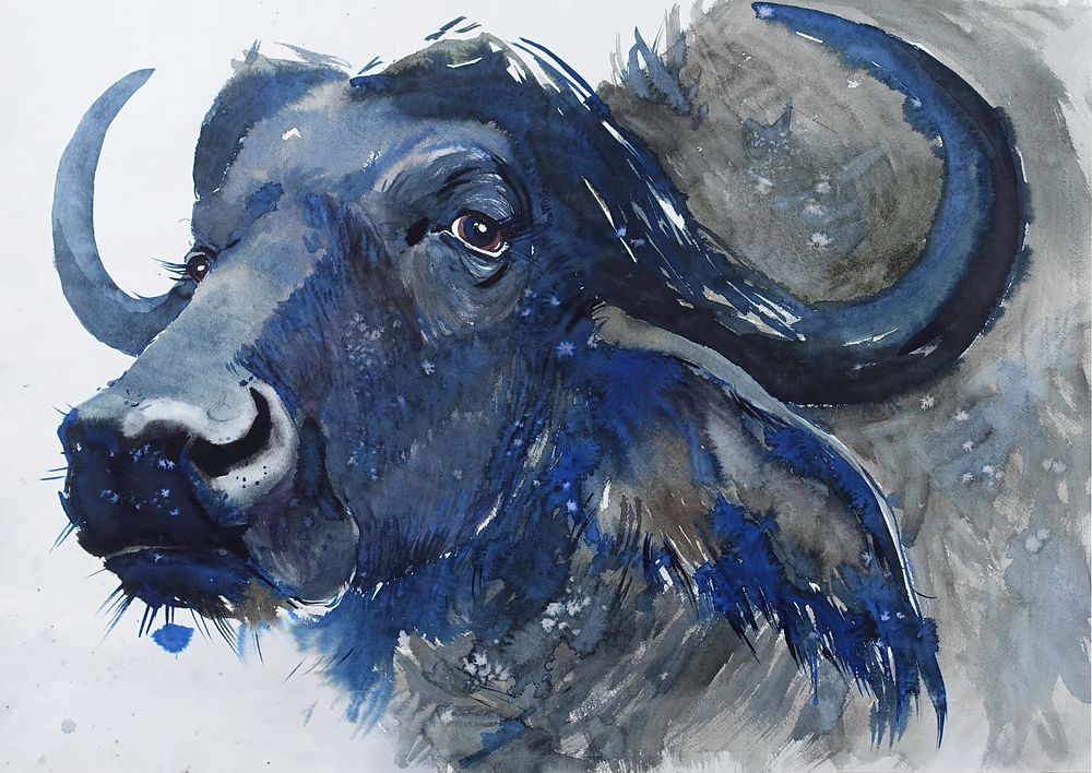 ПЕШКОВА Ольга Александровна - &laquo;Буйвол&raquo;, 2017. Бумага, акварель. 60,5х85,5 см. Очень хорошая 