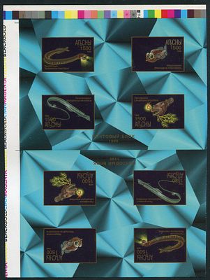 1999 г. Республика Абхазия. Глубоководные рыбы . Беззубцовая проба.