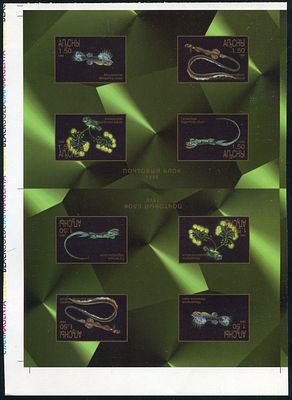 1999 г. Республика Абхазия. Глубоководные рыбы . Беззубцовая проба.