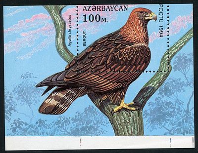 1994 г. Азербайджан. Хищные птицы. Mi Bl 9 .