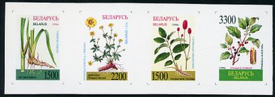 1996 г. Беларусь. Лекарственные растения.Mi 158-161. Беззубцовая сцепка из 4-х марок. (Картон)