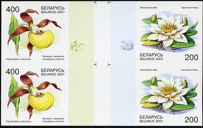2001 г. Беларусь. Цветы, занесенные в Красную книгу Беларуси. Mi 407-408. Беззубцовый квартблок Р.Д.
