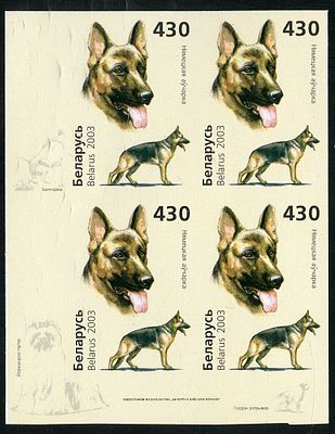 2003 г. Беларусь. Собаки. Mi 504. Беззубцовый квартблок.