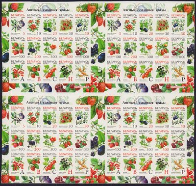 2004 г. Беларусь. Седьмой стандартный выпуск. Лесные и садовые ягоды. Mi Klb. 514-528. 