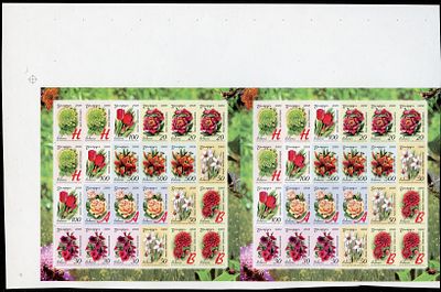 2008 г. Беларусь. Двенадцатый стандартный выпуск. Садовые цветы. Mi Klb. 712-719. Беззубцовые 