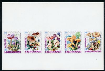 2000 г. Грузия. Грибы. Mi 359-363. Беззубцовый коллектив блок. Штемпель на обратной стороне.