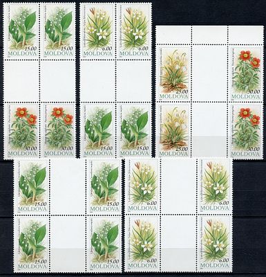 1993 г. Молдова. Флора Молдовы. Гаттер квартблоки.