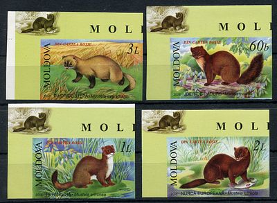 2006 г. Молдова. Животный мир Молдовы. Mi 559-562. Беззубцовая серия марок.