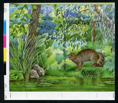 2006 г. Молдова. Животный мир Молдовы. Mi Bl 36. Беззубцовый почтовый блок.