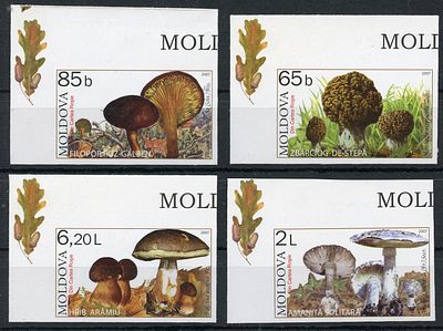 2007 г. Молдова. Грибы. Mi 578-581. Беззубцовая серия марок.