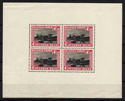 Бельгийское Конго. *